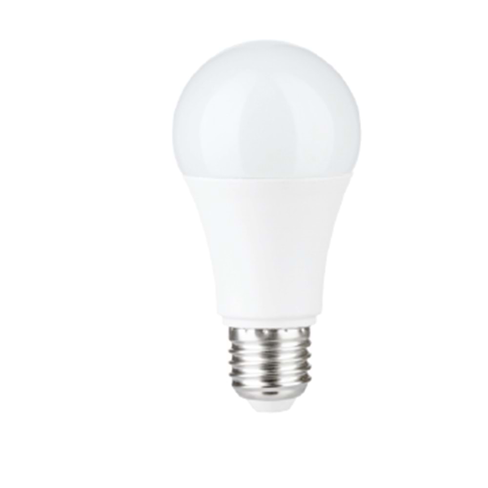 12W LED AMPUL 6500K