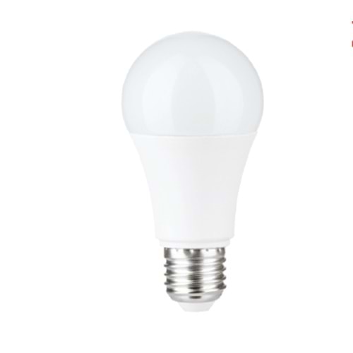 18W LED AMPUL 6500K